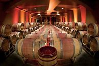 Image result for Col Solare Malbec Component Collection