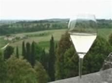 bicchieri prosecco bicchieri spumante prosecco bicchieri prosecco bicchieri spumante prosecco