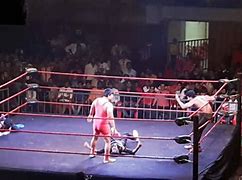 Image result for WWF Wrestling Buddy