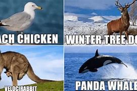 Image result for Funny Names for New Things