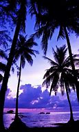 Image result for Purple Palm Trees Aesthetic