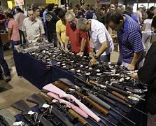 Image result for Page From the Gun Show
