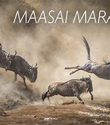 Image result for Maasai Mara Kenya On World Map