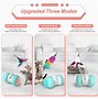 Image result for Electric Cat Toys