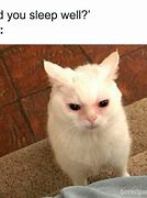 Image result for Funny Cat Memes Sleep