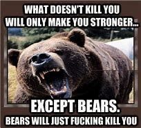 Image result for Mean Bear Meme