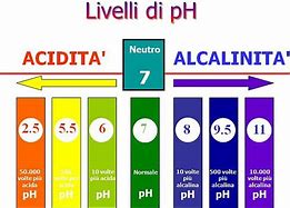 Image result for alcaliniaaci�n