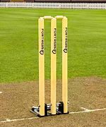 Image result for Cricket Stumps