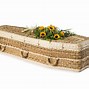 Image result for Treasure X Coffin