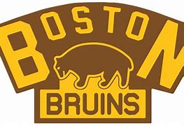 Image result for Bruins Logo