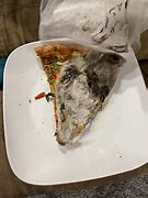 Image result for Moldy Gross Pizza