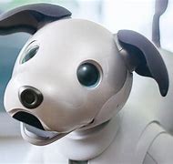 Image result for Artificial Intelligence Robotic Pets