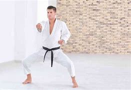 Image result for Types of Karate Kata