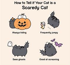 Image result for Grumpy Cat Halloween Memes