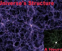 Image result for The Universe Is One Big Brain