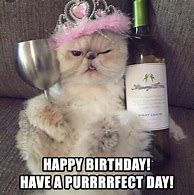 Image result for Happy Anniversary Cat Meme