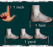 Image result for 2 Feet Measurement