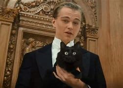 Image result for Leonardo DiCaprio Cat Meme