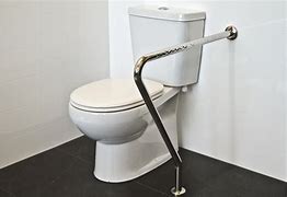 Image result for Handicap Toilet Safety Rails