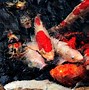 Image result for Koi Fish Wallpaper 4K