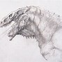 Image result for Primal Godzilla