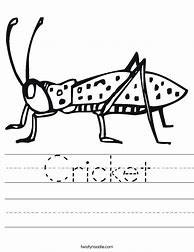 Image result for Cricket Fun Worksheets