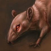 Image result for Evil Rat Drawing