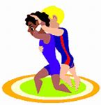 Image result for Wrestling Graphics