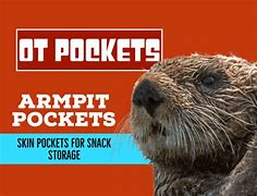 Image result for Otter Armpit Pocket