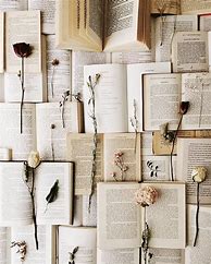 Image result for Book Page Aesthetic