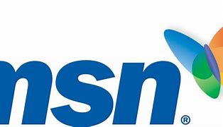 Image result for MSN Old Logo