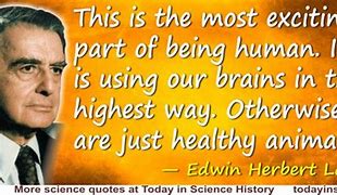 Image result for The Human Brain Quotes