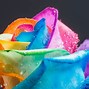 Image result for Most Beautiful Rainbow Flowers