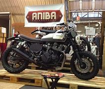 Image result for aniba