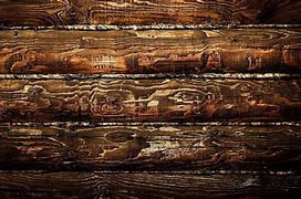 Image result for Log Cabin Texture