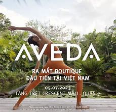 Image result for Aveda Vietnam