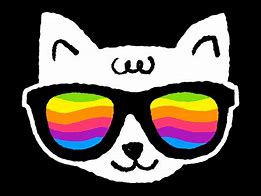Image result for Cool Cat with Glasses Meme