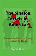 Image result for The Sinaloa Cartel