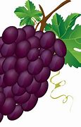 Image result for Grape Tree Cartoon