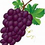Image result for Clip Art of Grapes