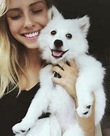 Image result for Cute Happy Puppy Pictures Free