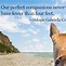 Image result for Quotes About Animal Lovers