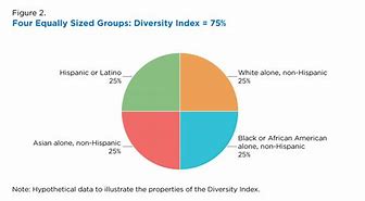 Image result for Ethnicity Types