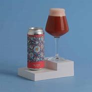 Image result for Sour IPA