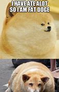 Image result for Cat Dog Fat Meme