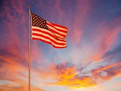 Image result for iPhone 10 Case American Flag