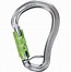 Image result for Wire Carabiner