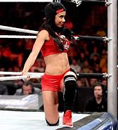 Image result for AJ Lee and Nikki Bella