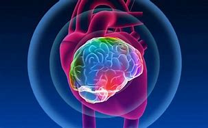 Image result for Super Brain and Heart Medication