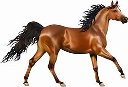 Image result for Real Horse Clip Art